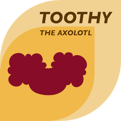 Toothy Logo